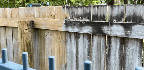 Make a difference to your Fence