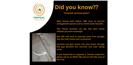 How are termites getting your home? 
