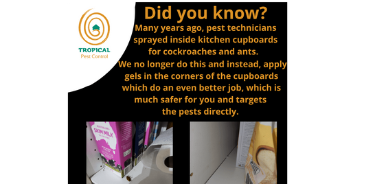 Are you getting Cockroaches in your cupboards? 