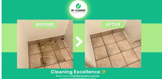 Experience the Power of Professional Cleaning! 