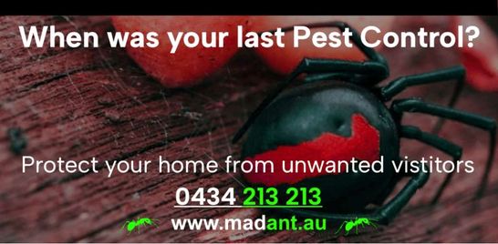 Protect your home from unwanted visitors