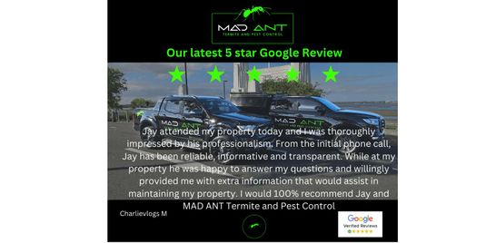 Our latest 5 Star Google Reviews 