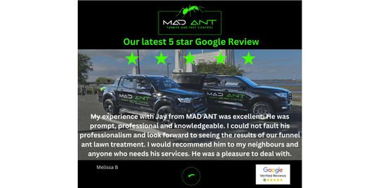 Our latest 5 Star Google Reviews