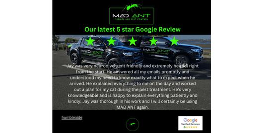 Our Latest 5 Star Googe Review