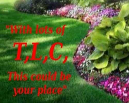 Neat and Trim Lawn Services gallery image 1