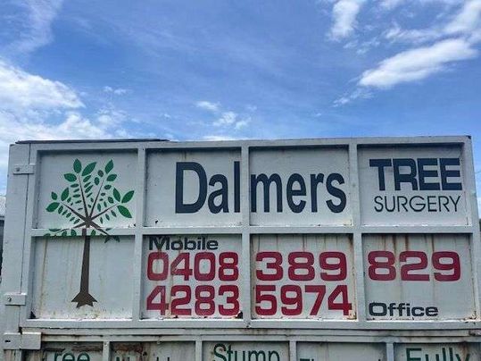 Dalmer's Tree Surgery gallery image 1
