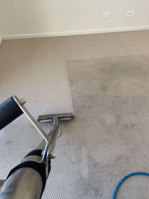 Big Red Carpet Cleaning gallery image 7