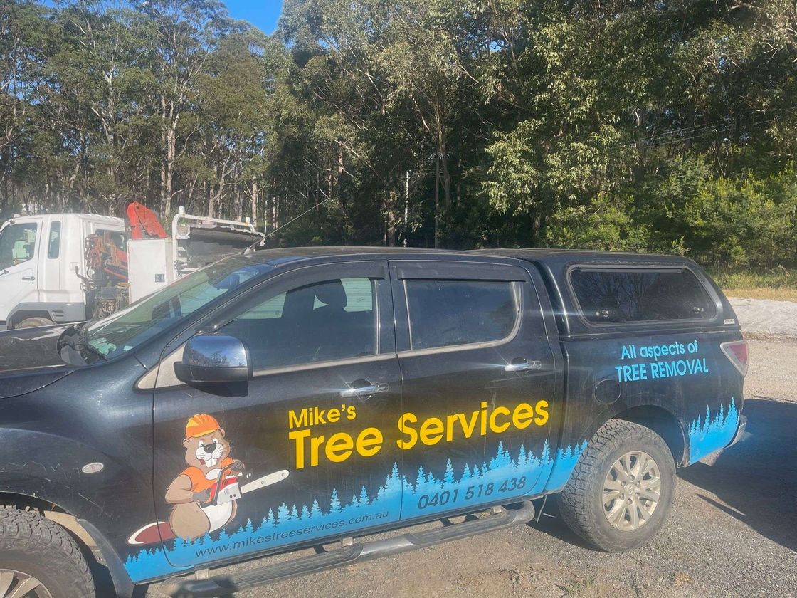 Mike's Tree Services featured image