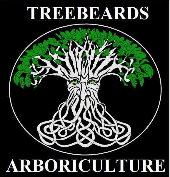 Treebeards Arboriculture featured image