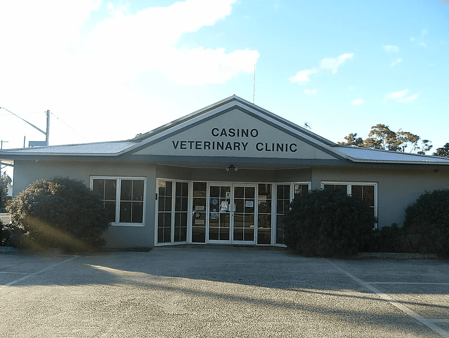 Casino Veterinary Clinic featured image