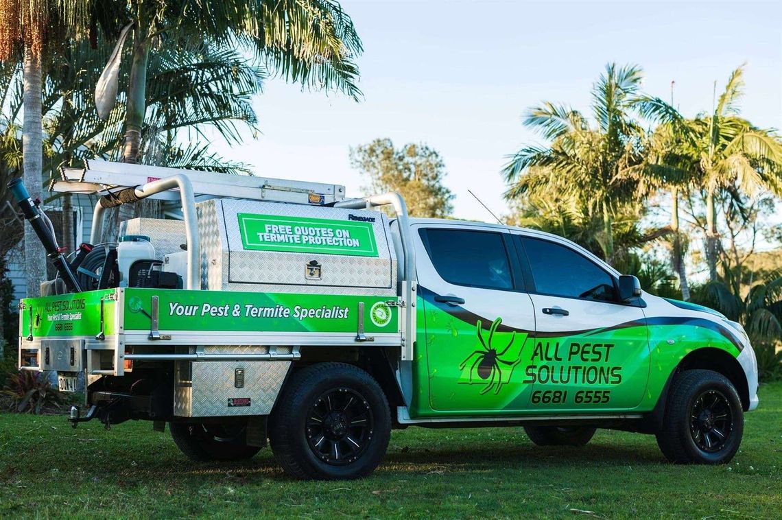 All Pest Solutions Gold Coast featured image