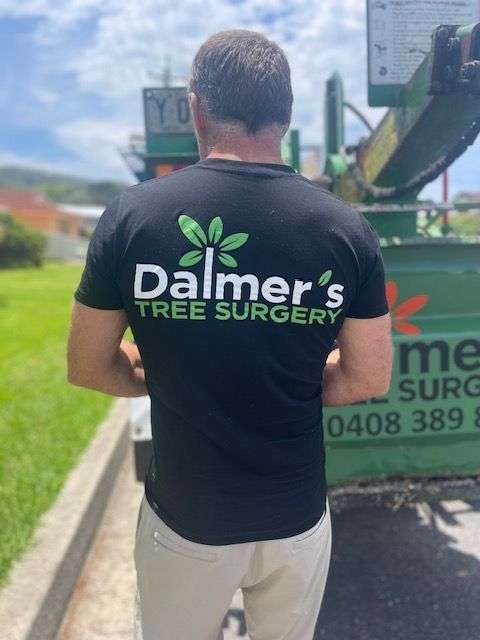 Dalmer's Tree Surgery featured image