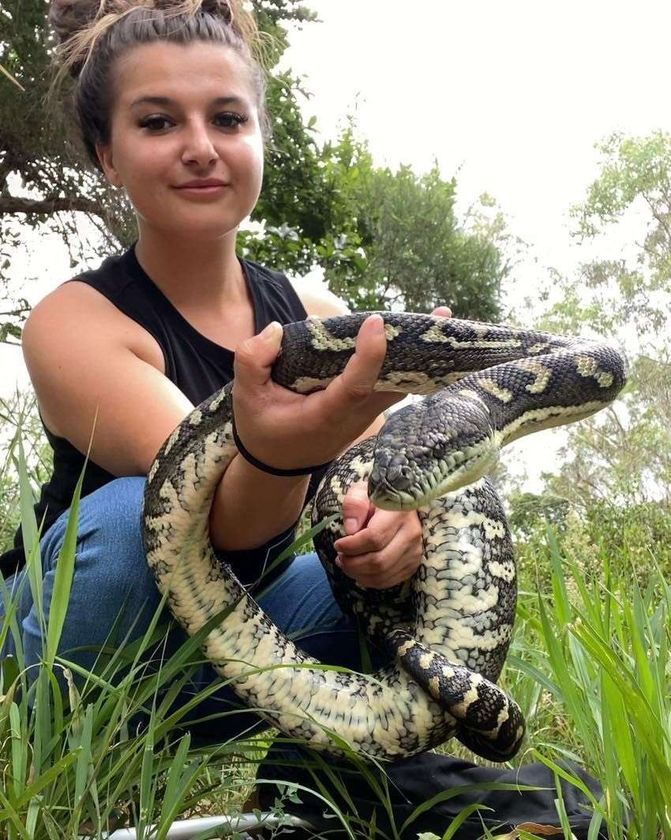 Moreton Bay Snake Catchers 24/7 featured image