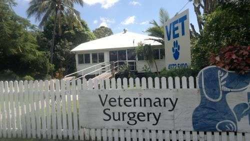 Harbour City Veterinary Surgery featured image