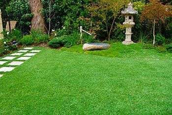 Keppel Bay Lawnmowing featured image