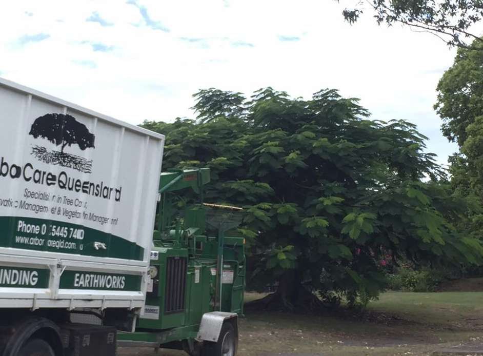 Arborcare Queensland featured image