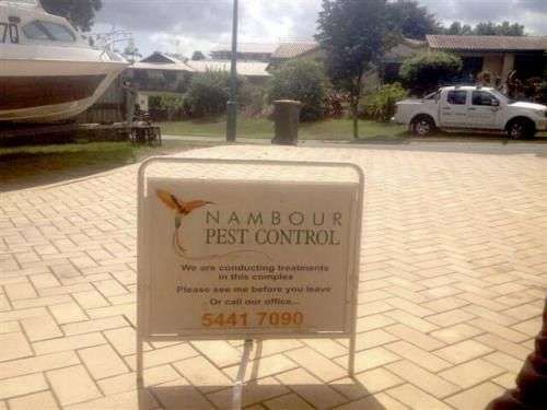 Nambour Pest Control featured image