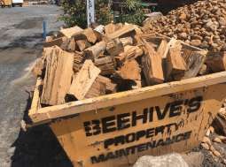 Beehive Waste Management featured image