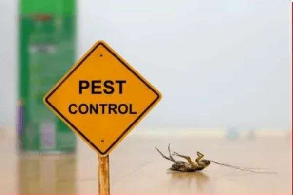 Brazel's Pest Control featured image