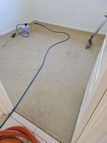 Magic Mist Carpet Cleaning gallery image 12