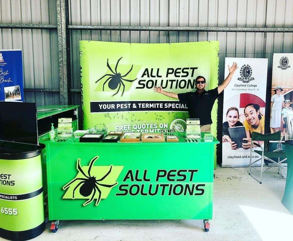 All Pest Solutions Coffs Coast gallery image 3