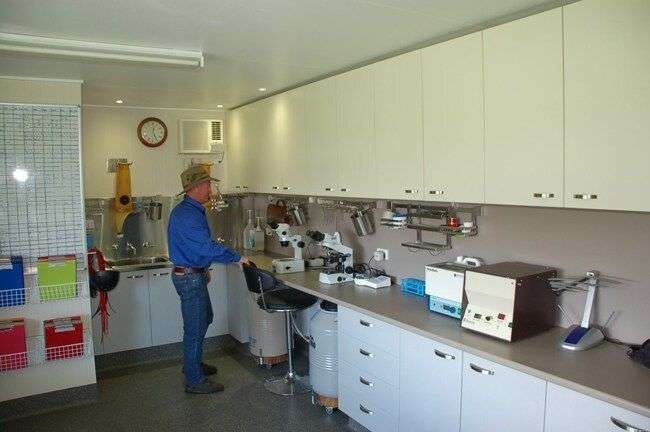 Macleay Valley Veterinary Services Pty Ltd gallery image 8