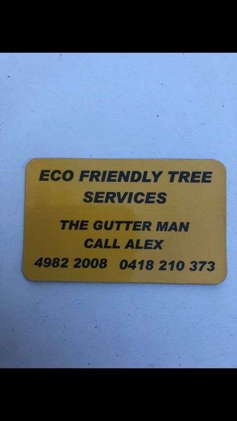 Eco Friendly Tree Services featured image