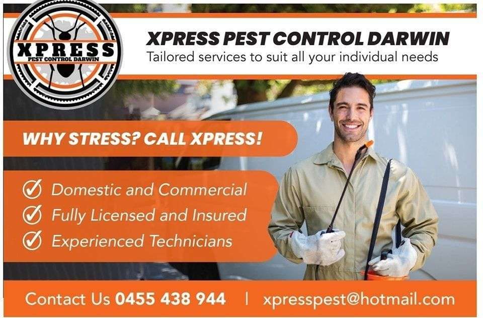 Xpress Pest Control Darwin gallery image 9