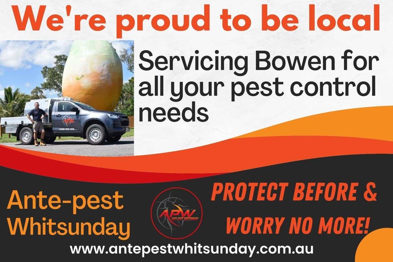 Ante-pest Whitsunday featured image