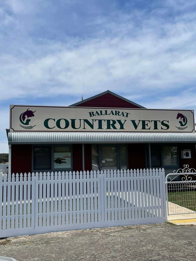 Ballarat Country Vets featured image
