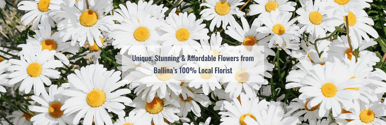 Ballina Florist gallery image 18