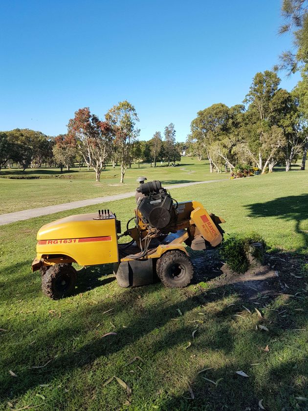 Steve's Stump Grinding & Tree Services gallery image 11