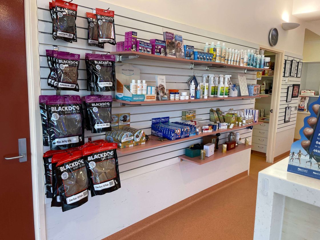Alice Springs Veterinary Hospital featured image