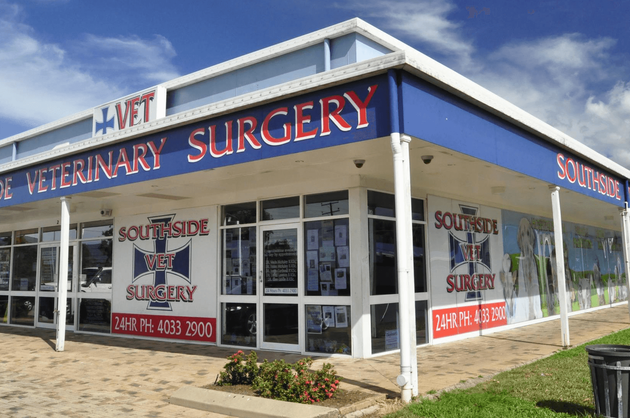 Southside Veterinary Surgery Pty Ltd featured image