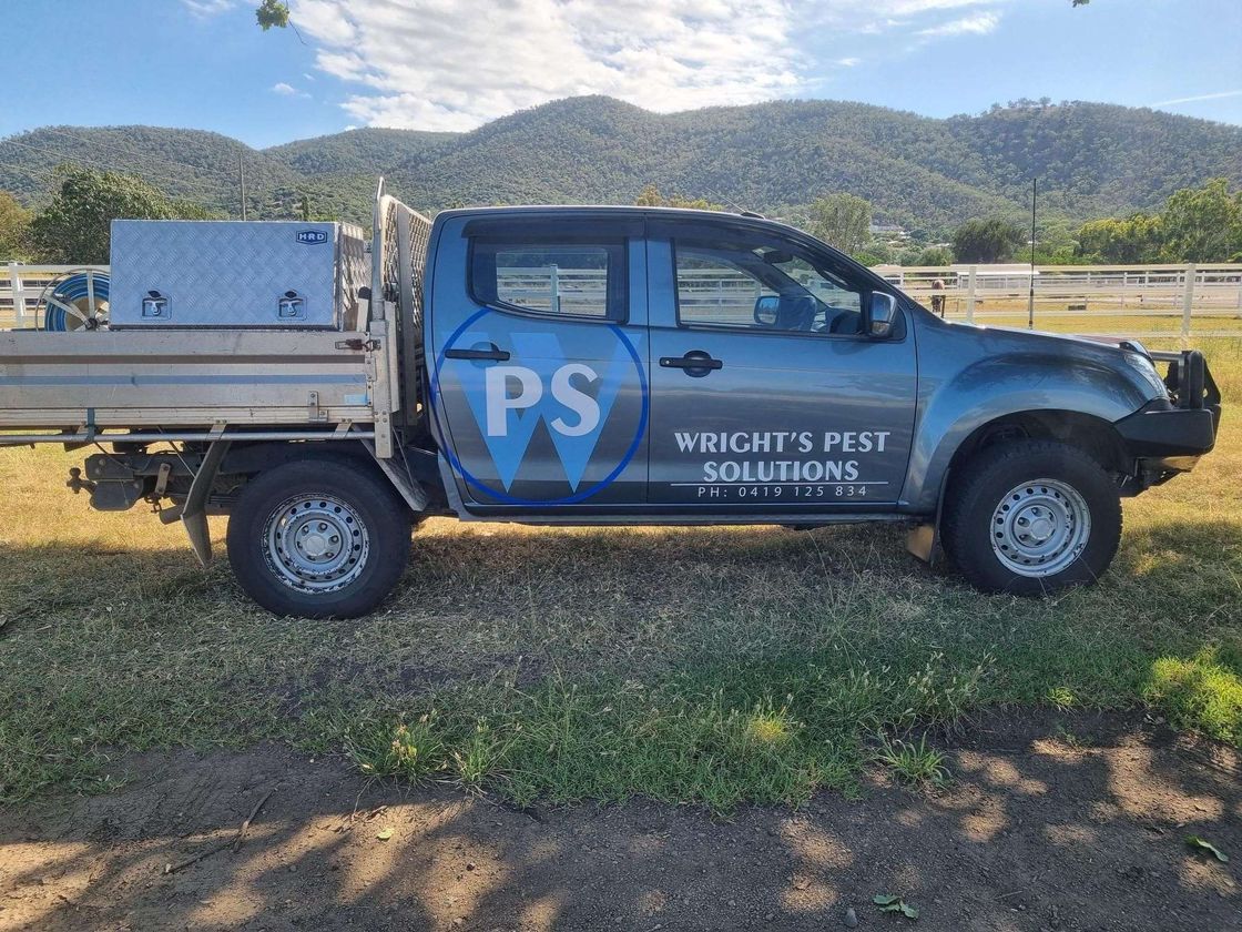Wright's Pest Solutions featured image