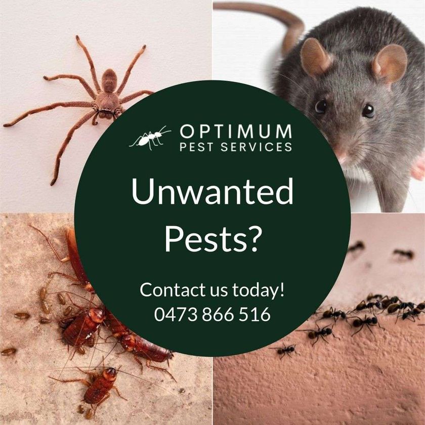 Optimum Pest Services featured image