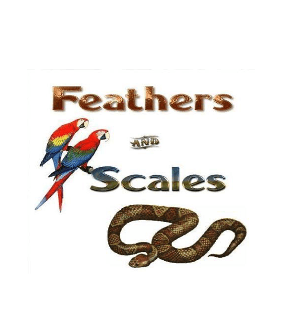 Feathers and Scales Freight featured image