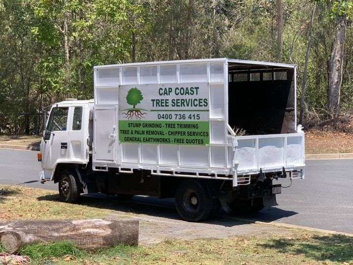 Cap Coast Tree Services featured image