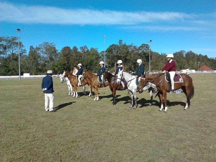 Manning Valley Saddlery featured image