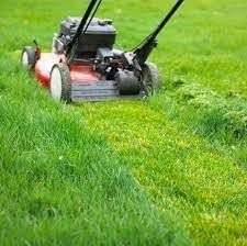 Mad About Mowing and Maintenance featured image
