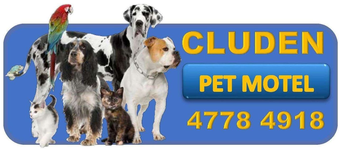 Cluden Pet Motel featured image