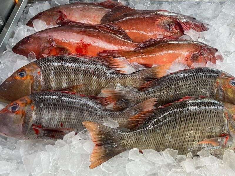 Gladstone Fish Market featured image
