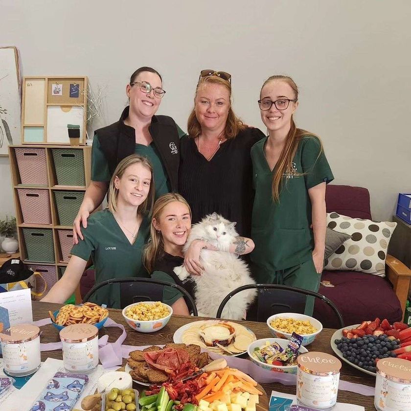 Nelson Bay Veterinary Clinic featured image