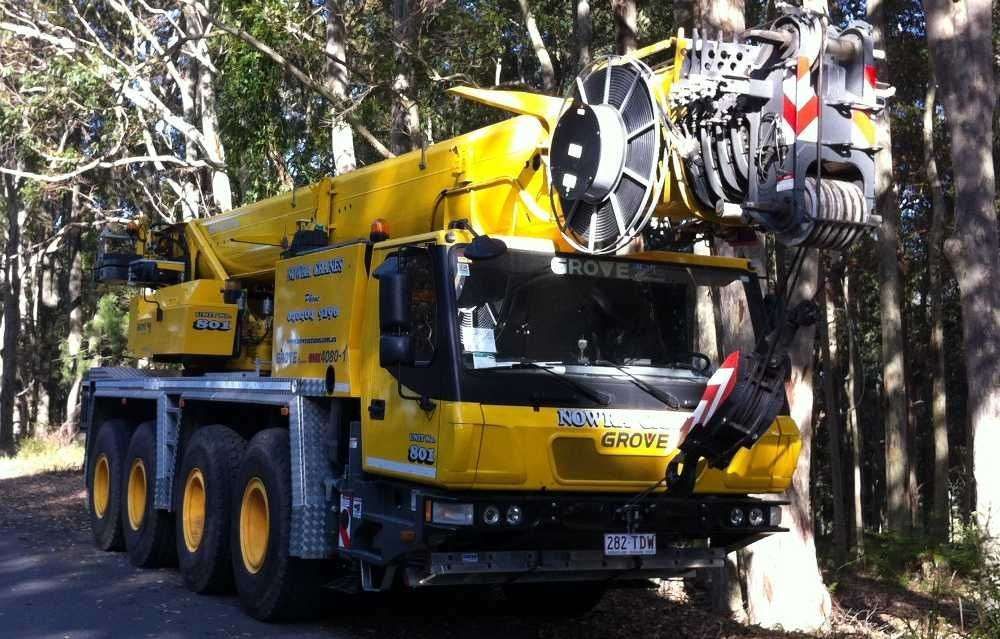 Nowra Cranes featured image