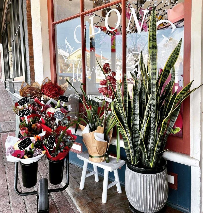Molong Flower Room featured image