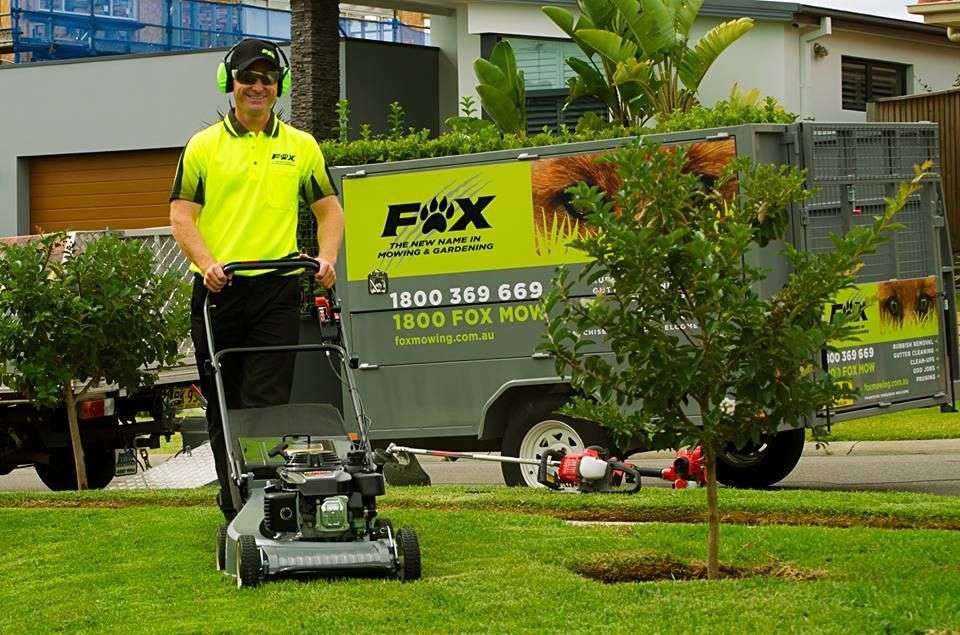 Fox Mowing & Gardening Port Stephens gallery image 1