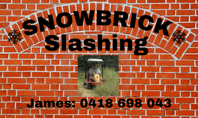 Snowbrick Specialised Slashing/Mowing and Brush Cutting featured image
