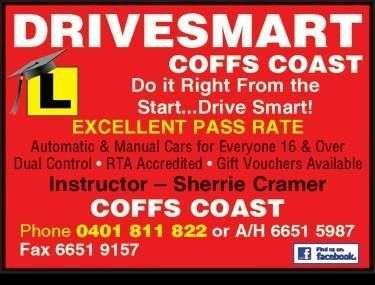 Drivesmart featured image