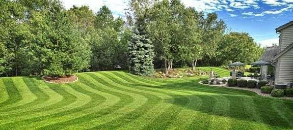 PDL Mowing featured image