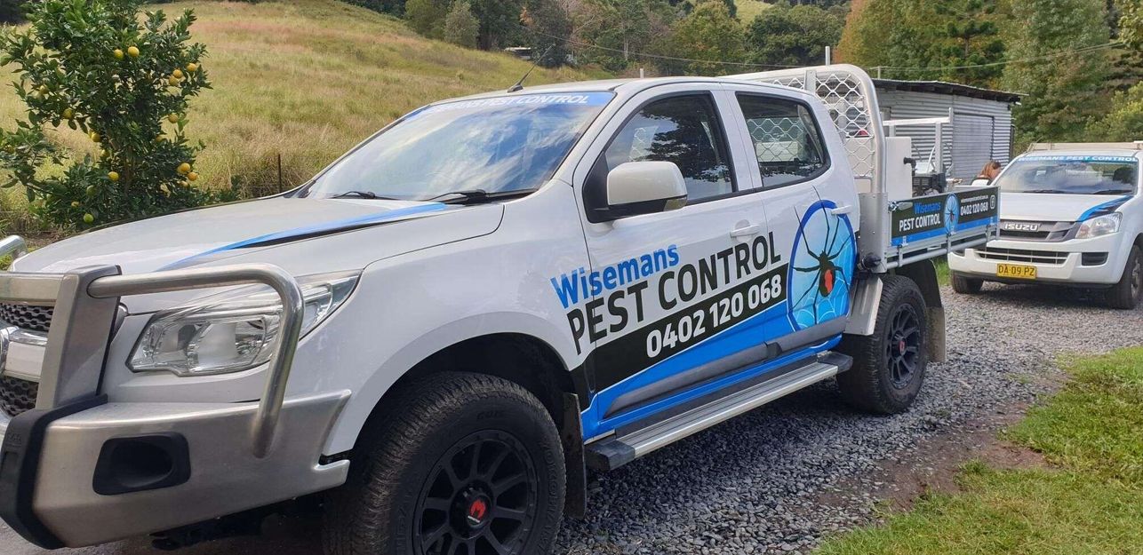 Wisemans Pest Control gallery image 7